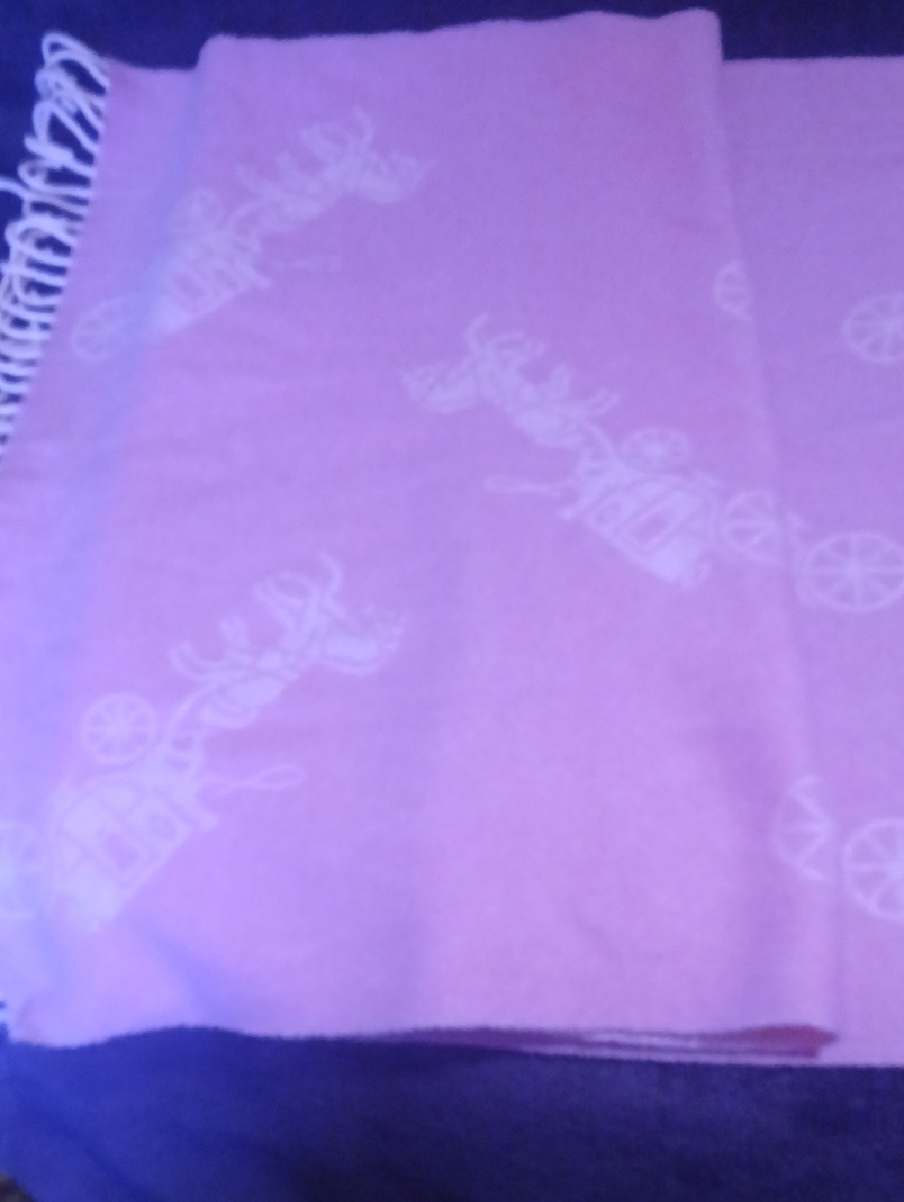 Coach Pink Logo Carriage Scarf